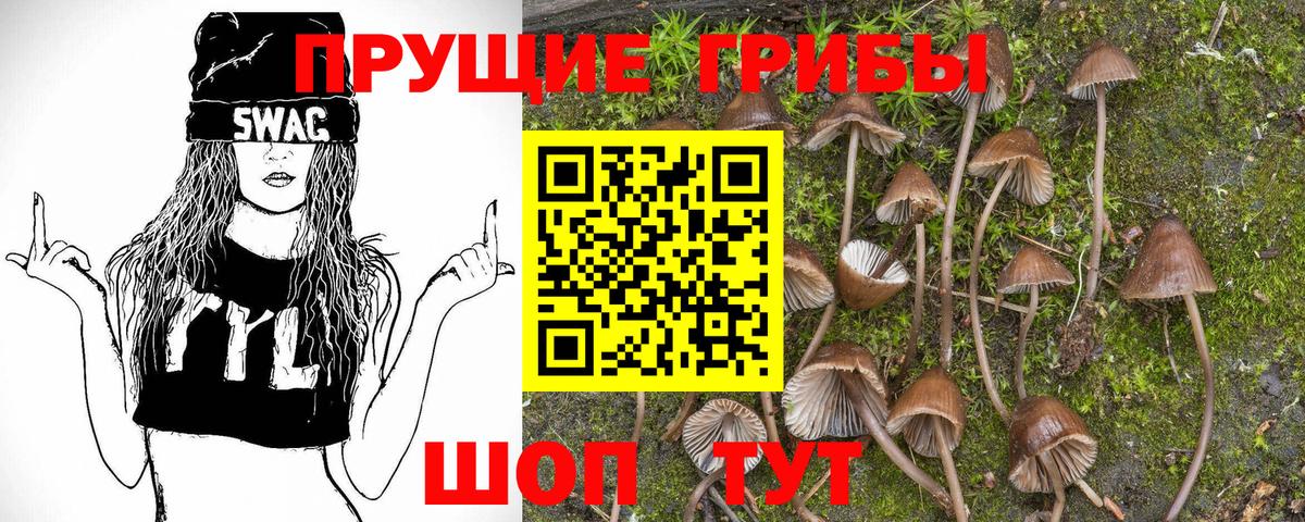 продажа наркотиков  Псилоцибиновые грибы мицелий  Вход с VPN  Минусинск  Псилоцибиновые грибы мухоморы 